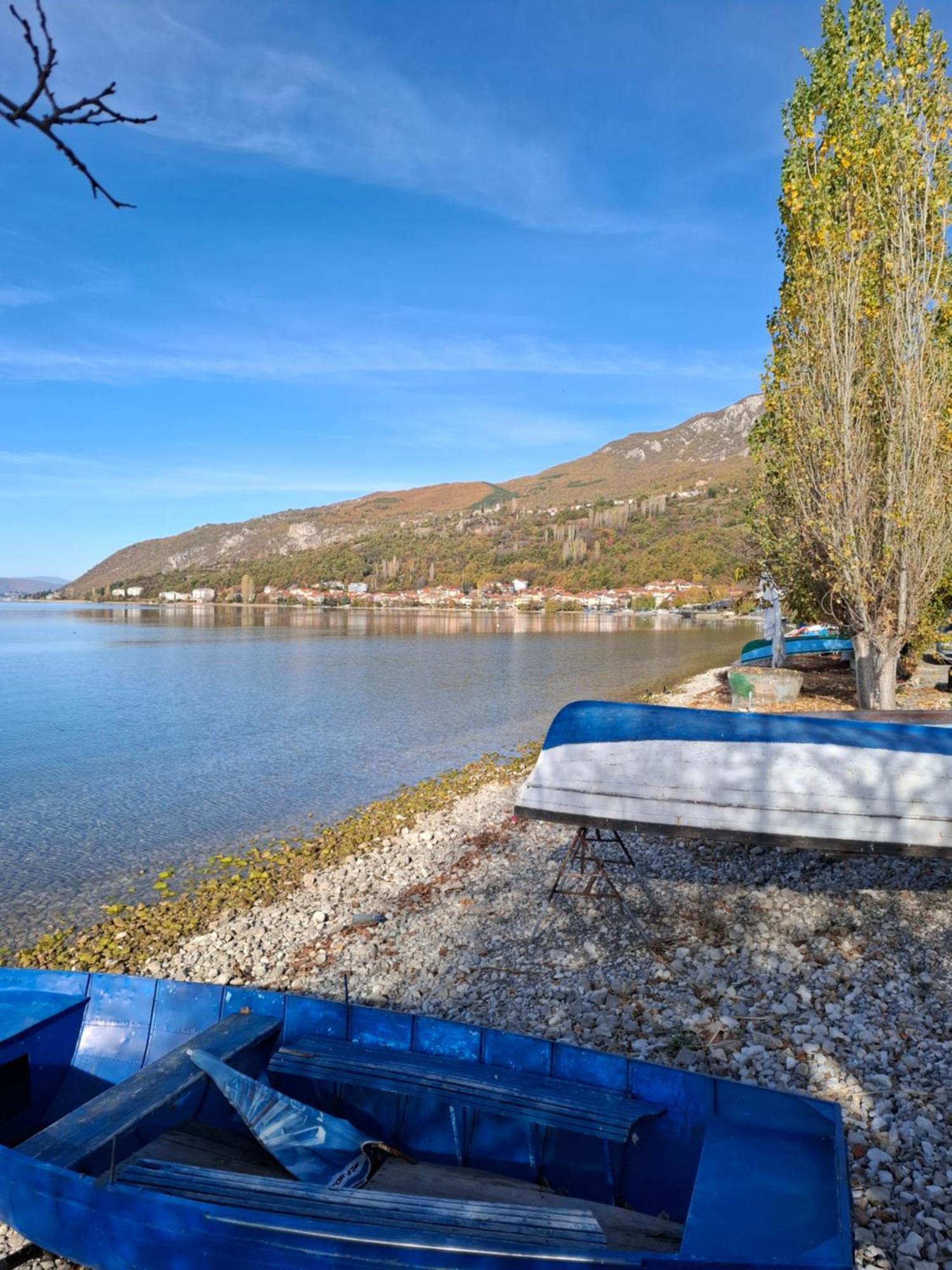 Apartments Villa Boris Ohrid Rum bild