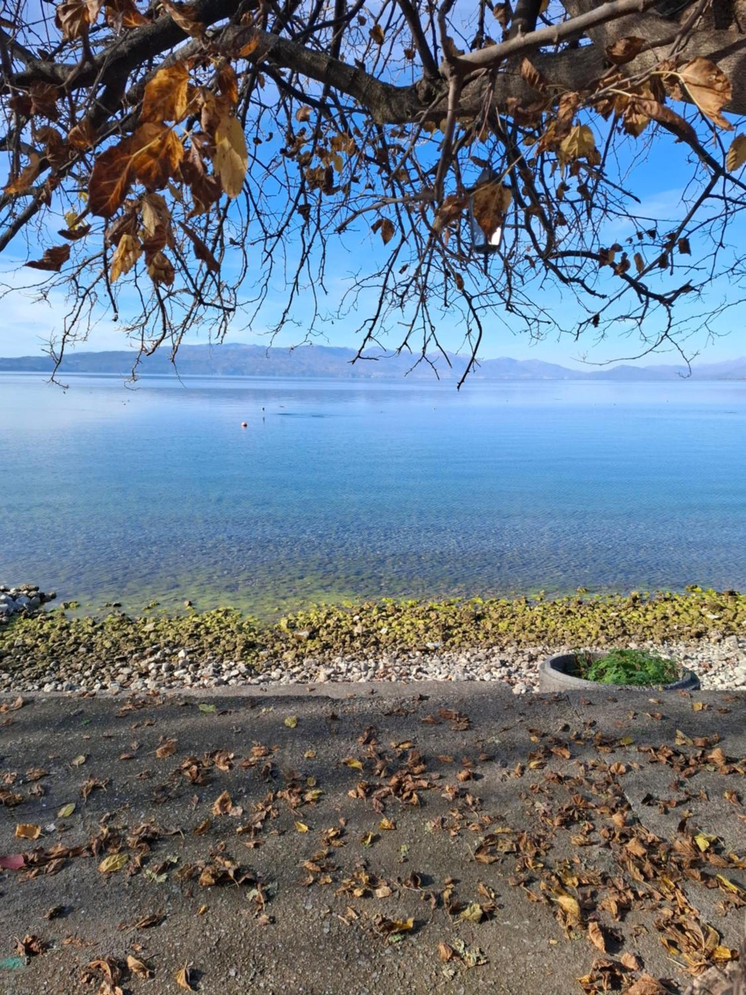 Apartments Villa Boris Ohrid Exteriör bild