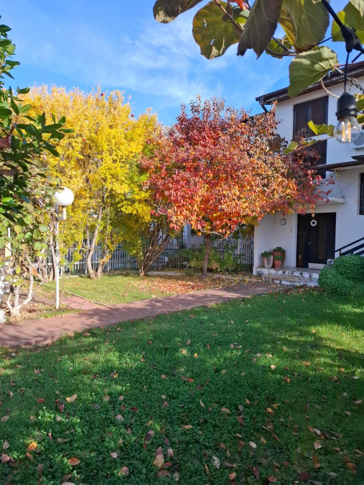 Apartments Villa Boris Ohrid Exteriör bild